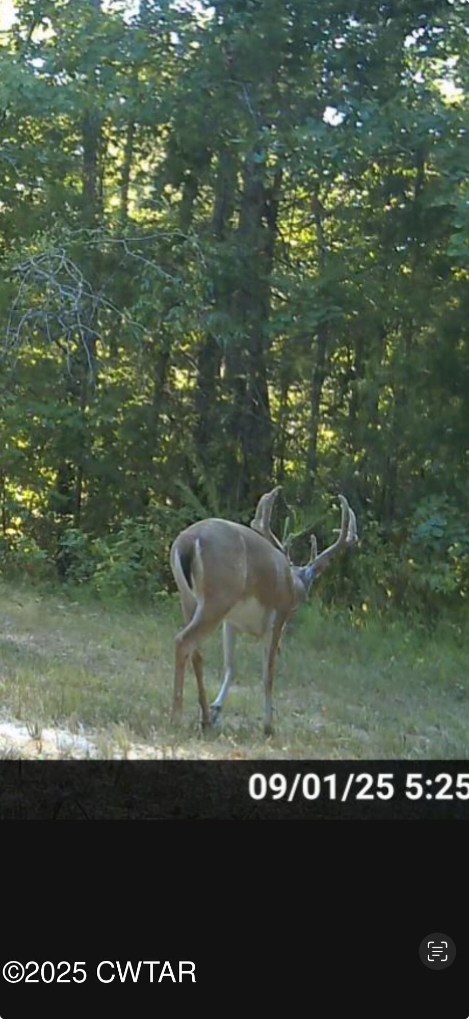 4260 Highfield Road Cedar Grove, TN 38321 - Photo 2 of 8