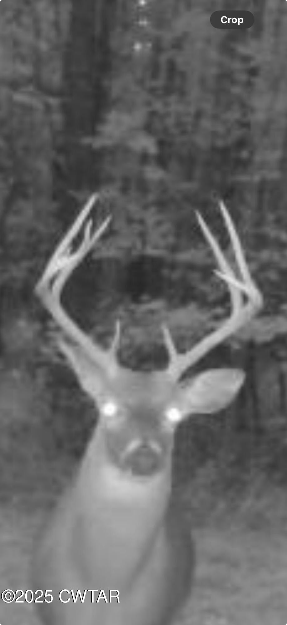 4260 Highfield Road Cedar Grove, TN 38321 - Photo 4 of 8 a close view of tap