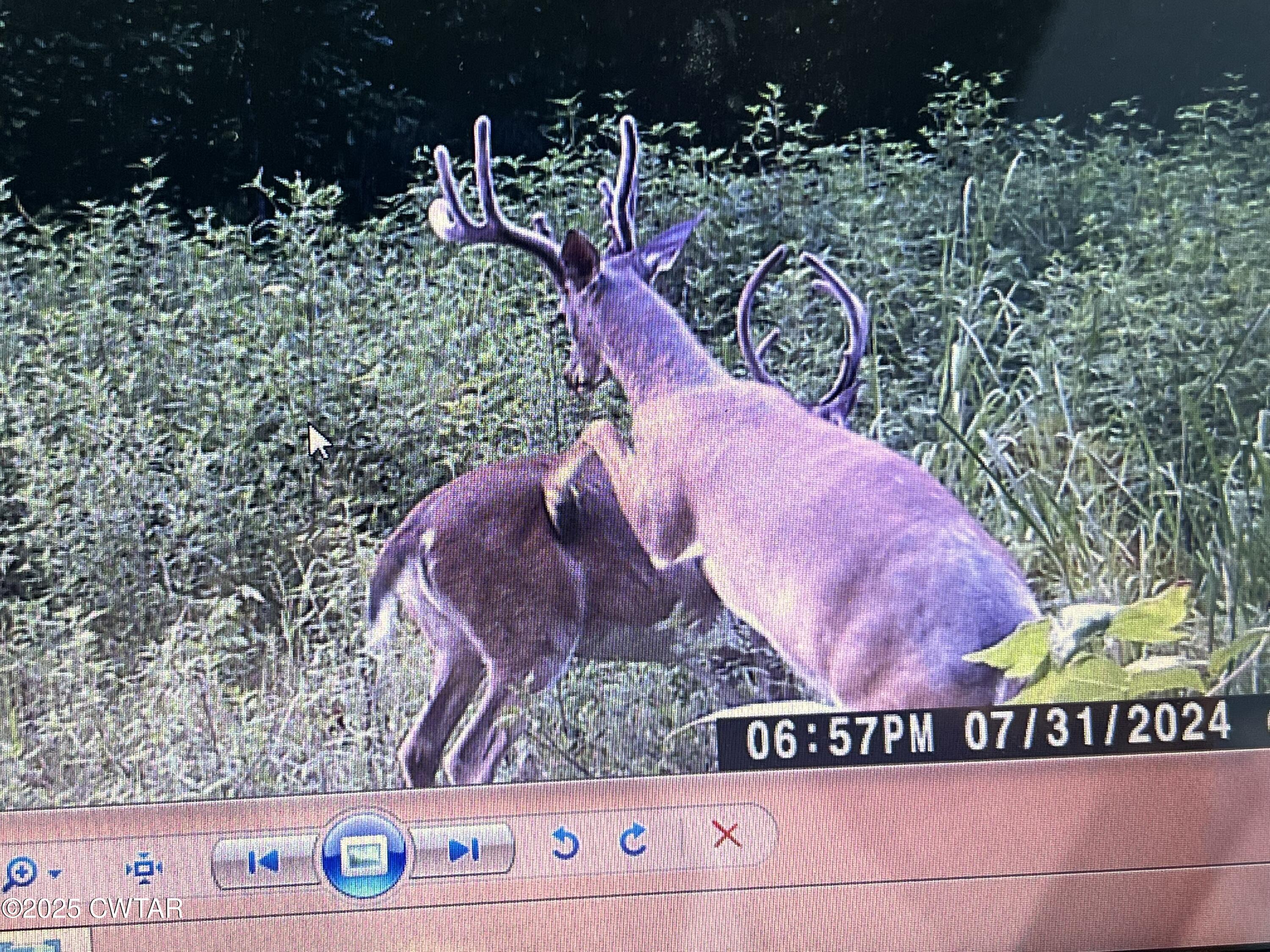 4260 Highfield Road Cedar Grove, TN 38321 - Photo 7 of 8 a view of entryway