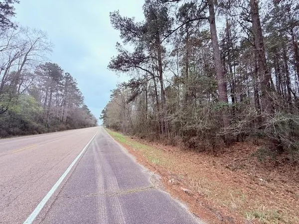 $75,000 | Tbd Tbd 21st Highway, Angie, LA 70426