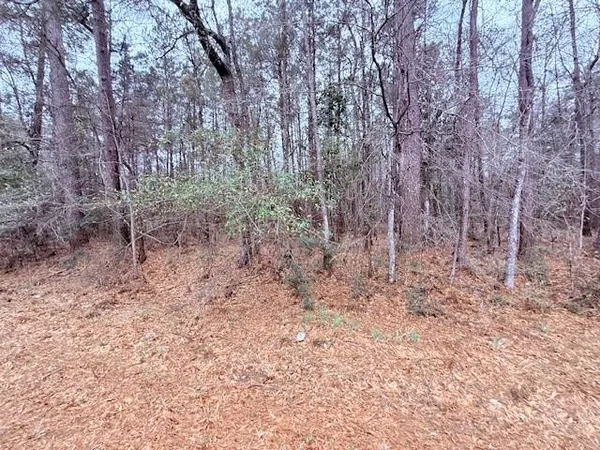 $75,000 | Tbd Tbd 21st Highway, Angie, LA 70426