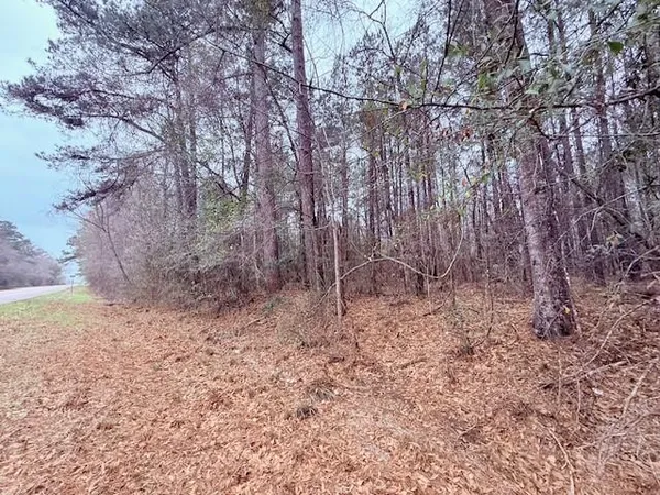 $75,000 | Tbd Tbd 21st Highway, Angie, LA 70426
