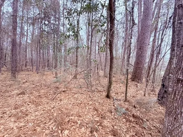 $75,000 | Tbd Tbd 21st Highway, Angie, LA 70426