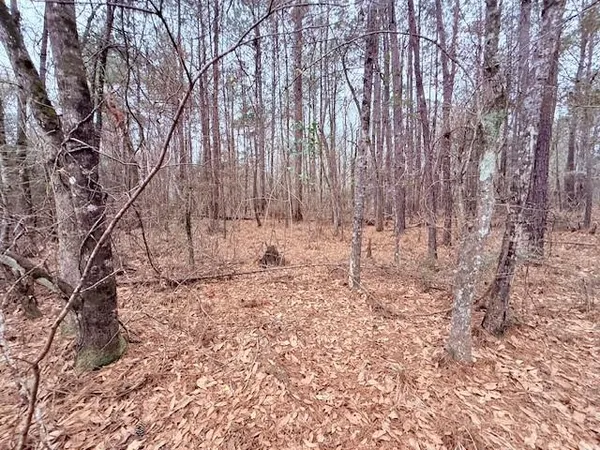 $75,000 | Tbd Tbd 21st Highway, Angie, LA 70426