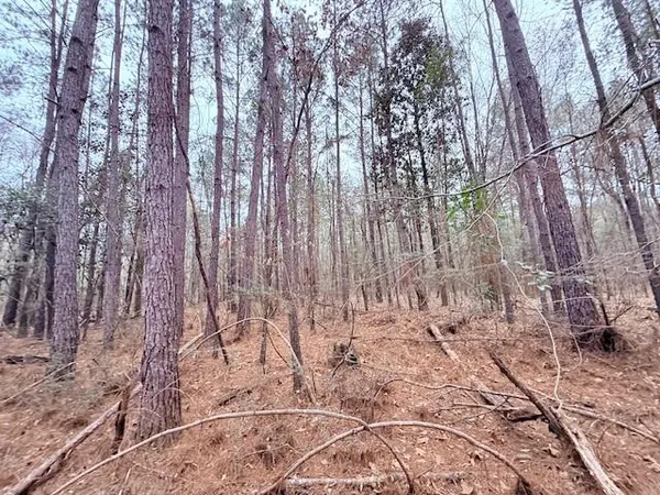 $75,000 | Tbd Tbd 21st Highway, Angie, LA 70426