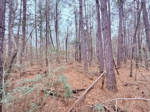 $75,000 | Tbd Tbd 21st Highway, Angie, LA 70426