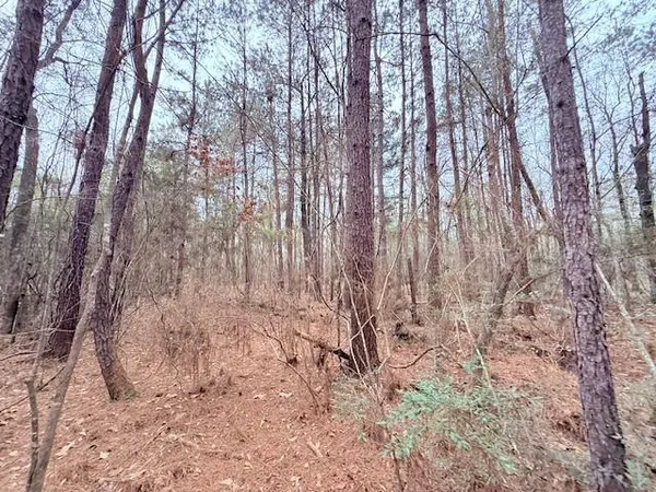 $75,000 | Tbd Tbd 21st Highway, Angie, LA 70426