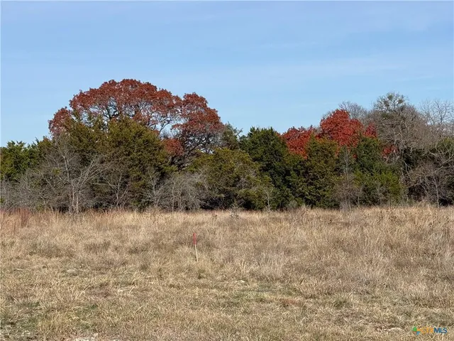 a view of a dry yard