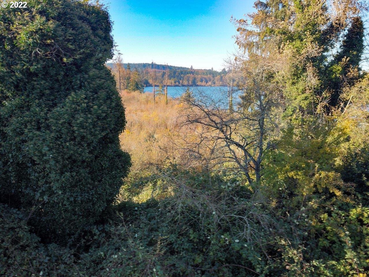 93401 Knappa Dock Road Astoria, OR 97103 - Photo 8 of 9 Drone View/UAV