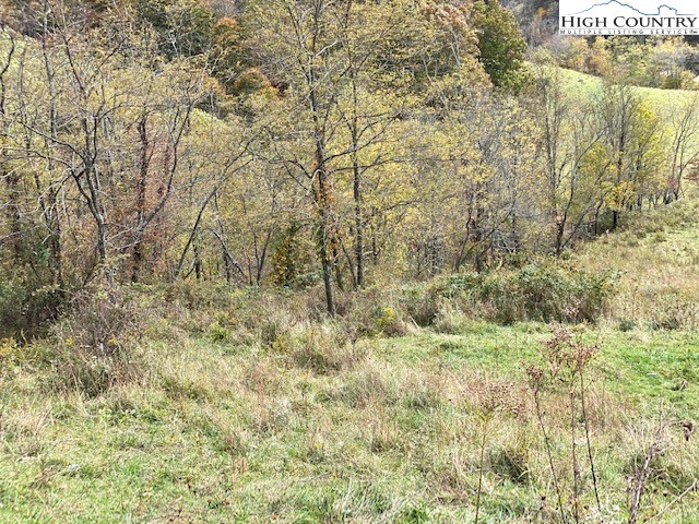 Landmark Church Road Lansing, NC 28643 - Photo 7 of 28 Gallery Image 7