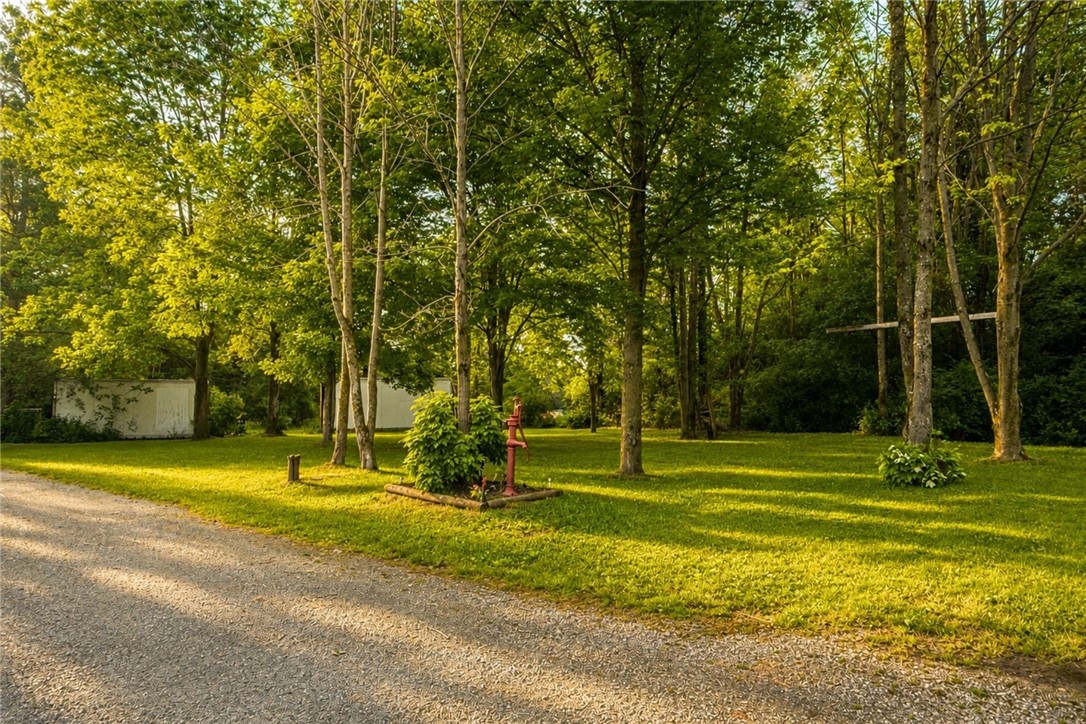 4022 Reed Road West Sparta, NY 14437 - Photo 24 of 35