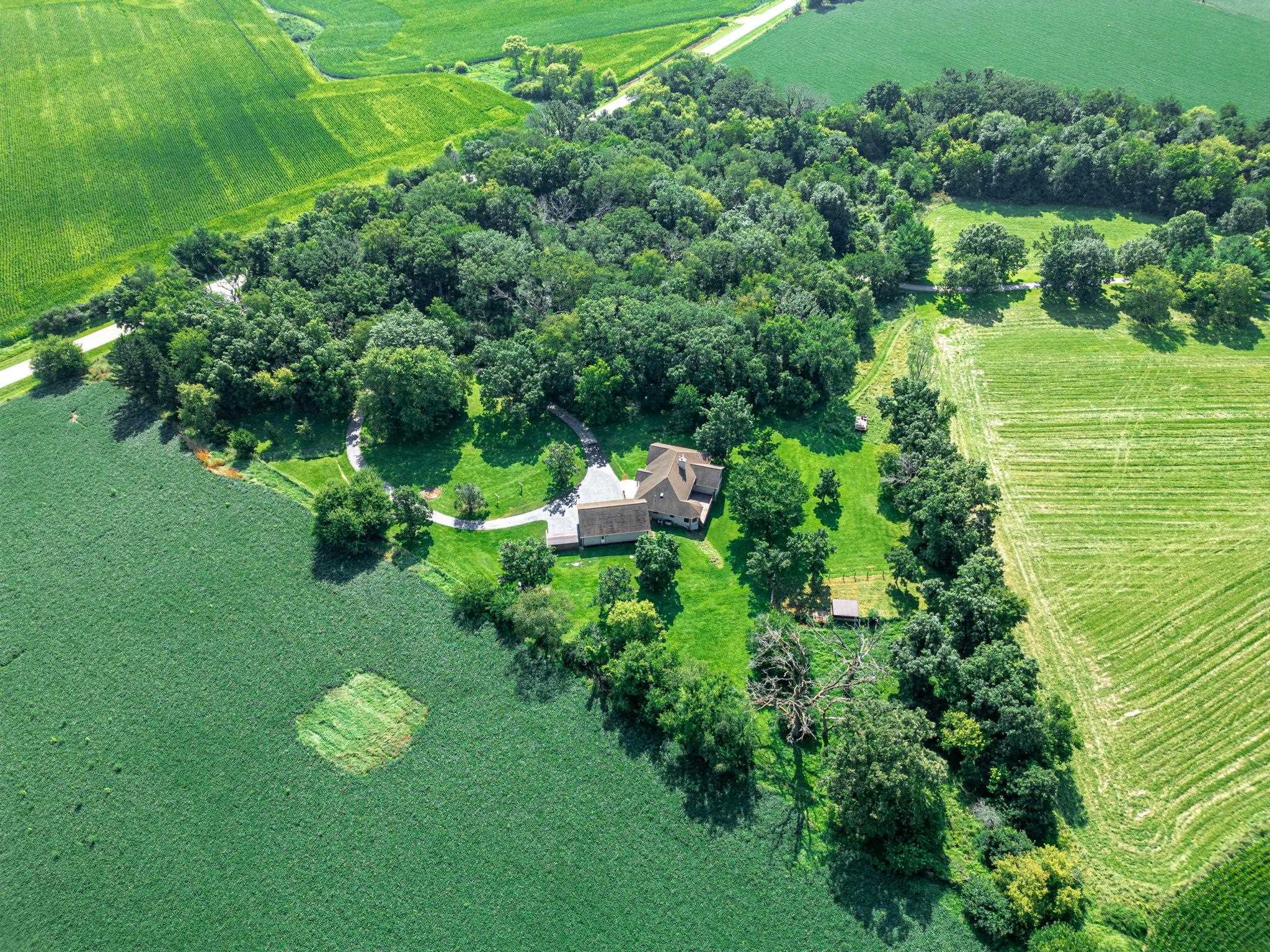 12830 Beloit Road Caledonia, IL 61011 - Photo 46 of 52 a lush green forest with lots of trees