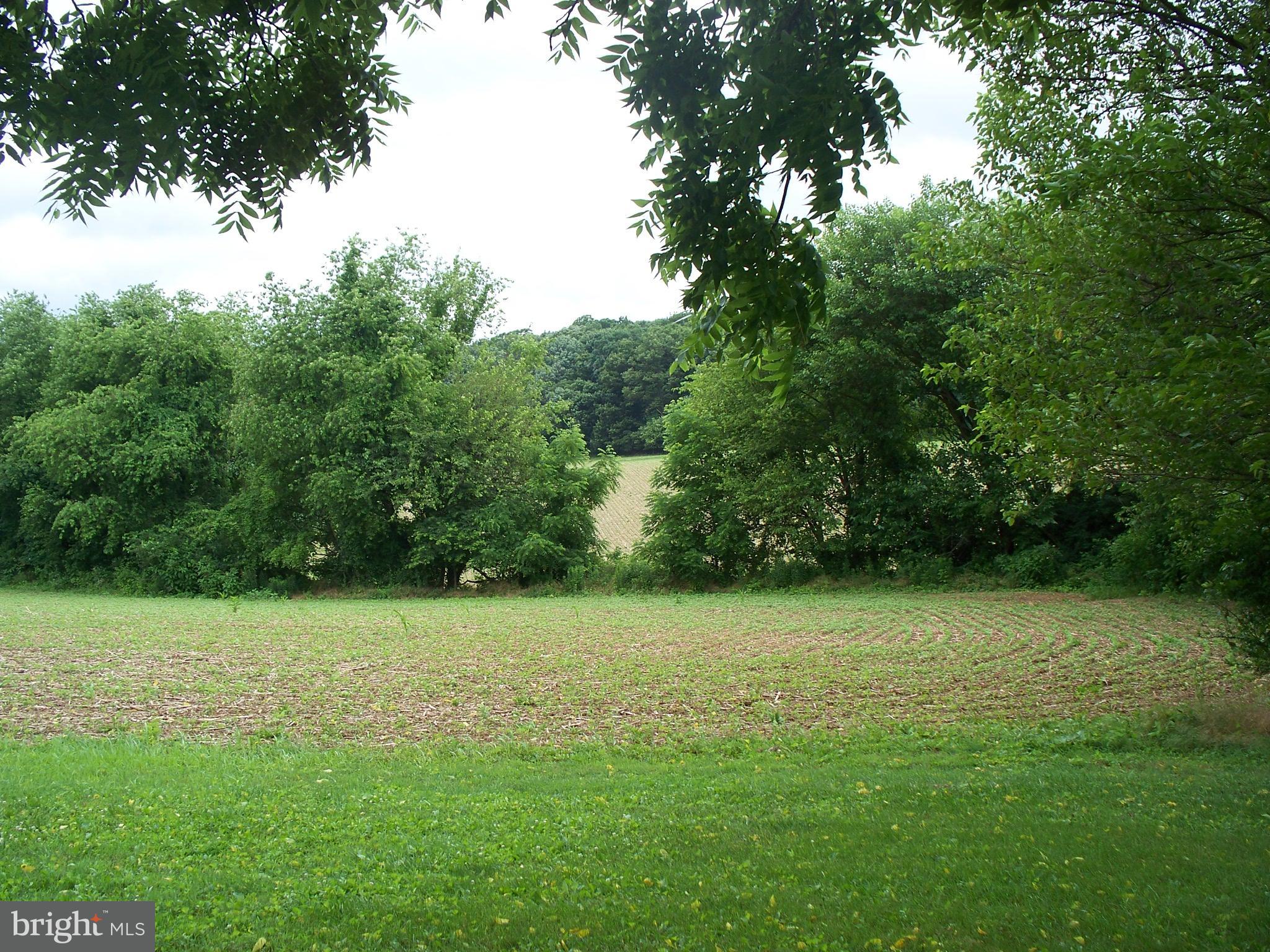 341 St Bartholomew Road Hanover, PA 17331 - Photo 17 of 44 a view of a green field with a tree