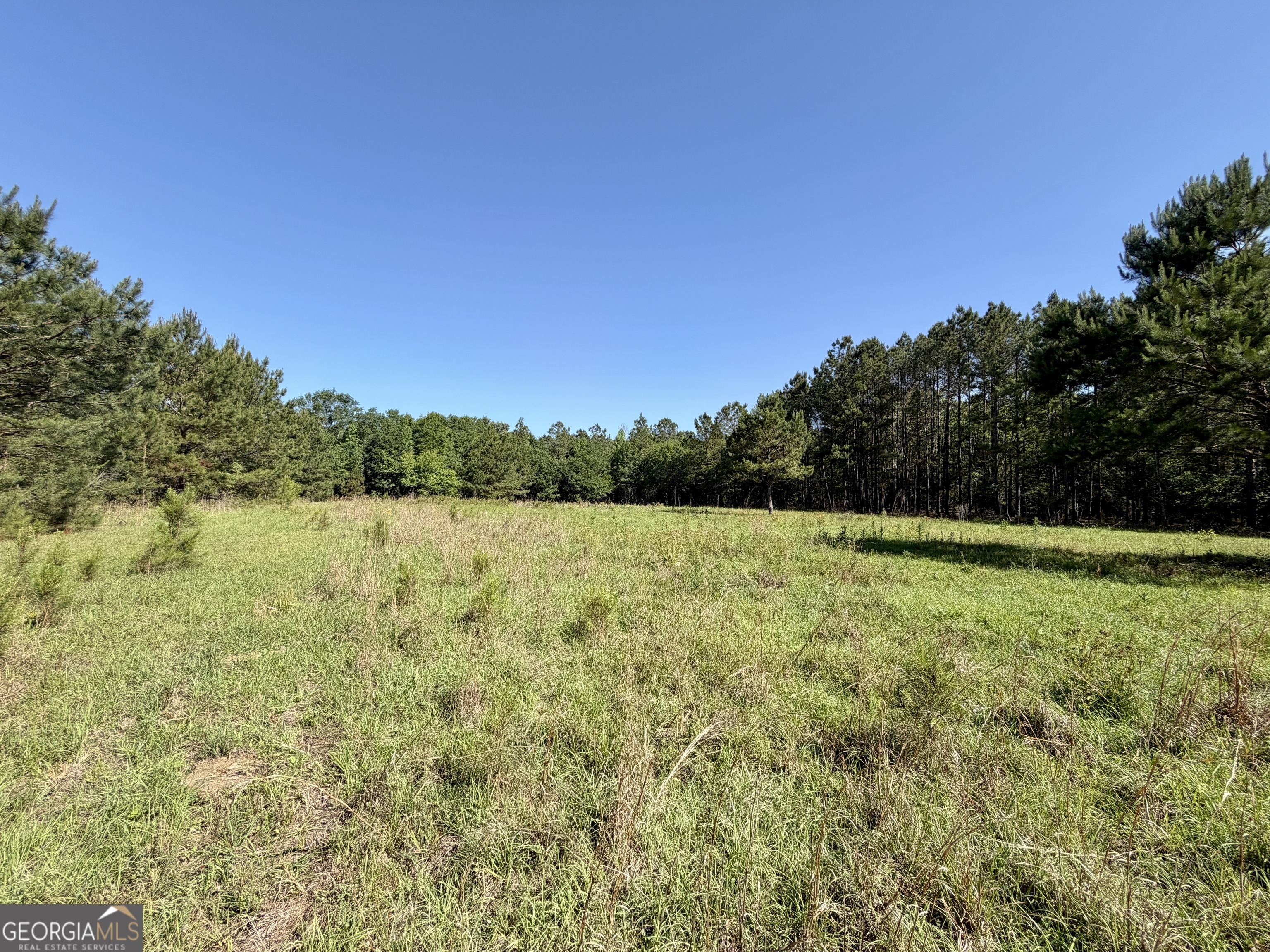 769 Mt Olive Church Road Eastman, GA 31023 - Photo 14 of 68
