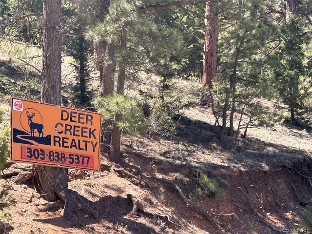 $219,000 | 364 County Road 64, Shawnee, CO 80475