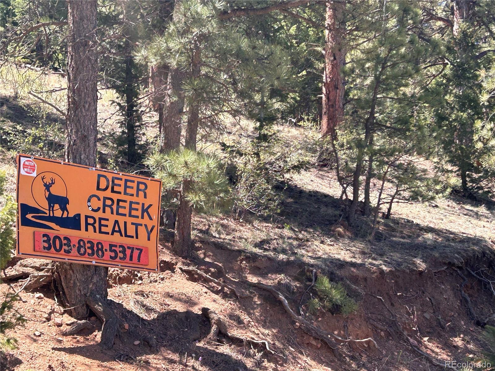 364 County Road 64 Shawnee, CO 80475 - Photo 15 of 16 a view of street with sign board