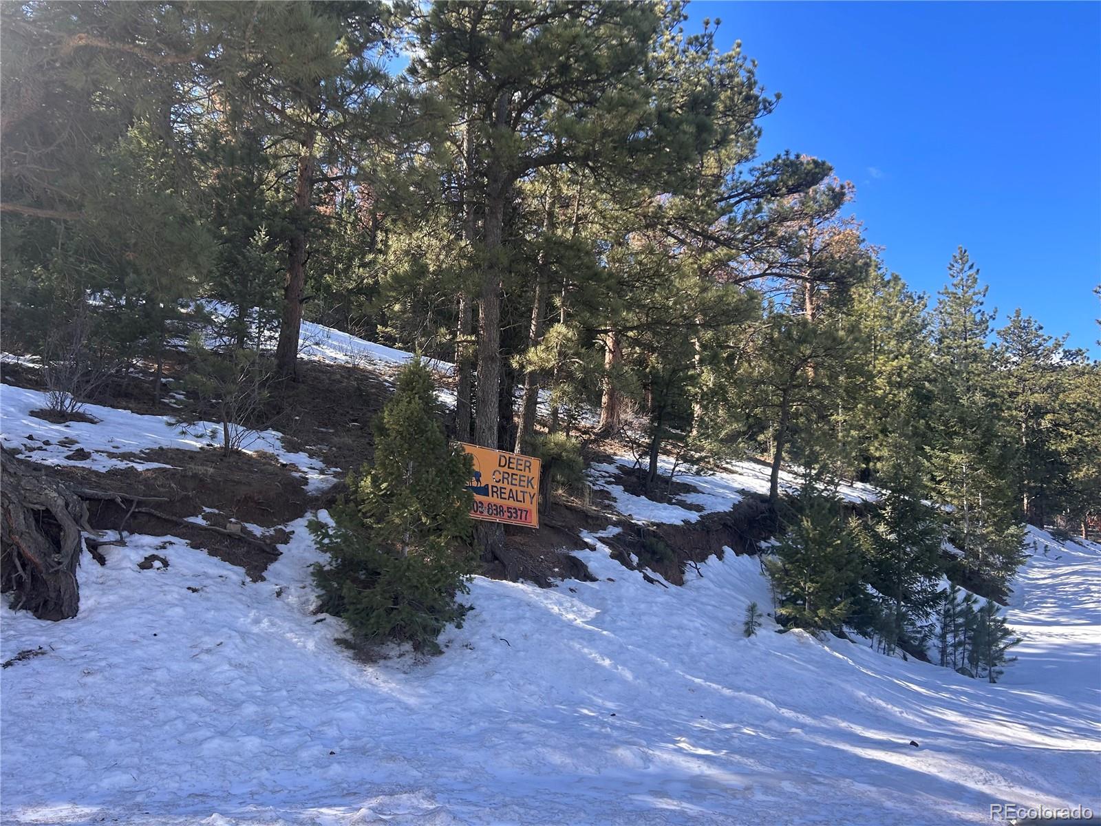 364 County Road 64 Shawnee, CO 80475 - Photo 16 of 16 a view of outdoor space and yard