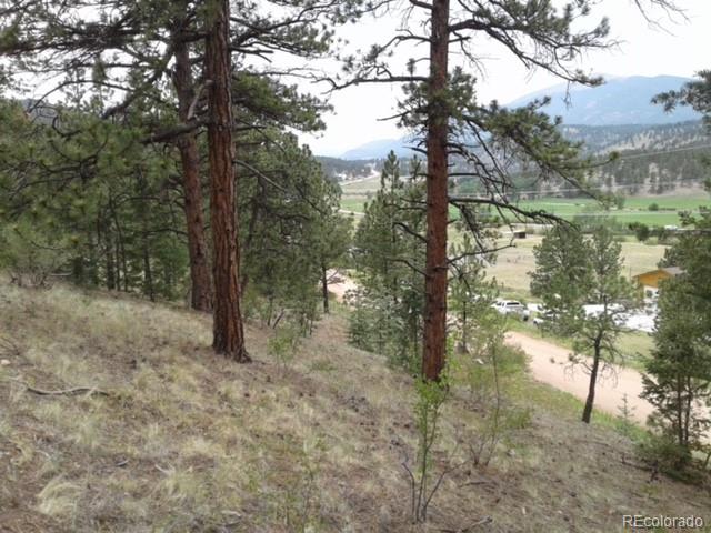 364 County Road 64 Shawnee, CO 80475 - Photo 2 of 16 a view of a forest filled with trees