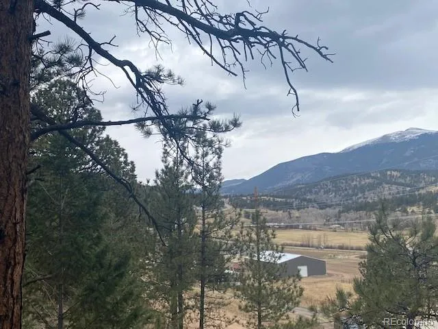 a view of a yard in front of house