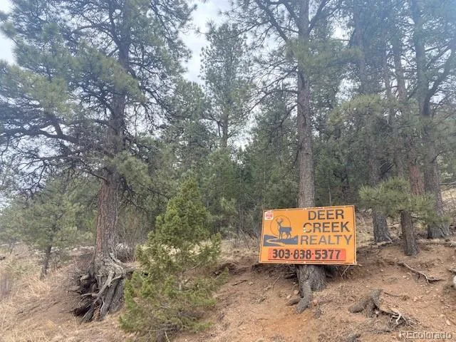a sign board with a forest filled with trees