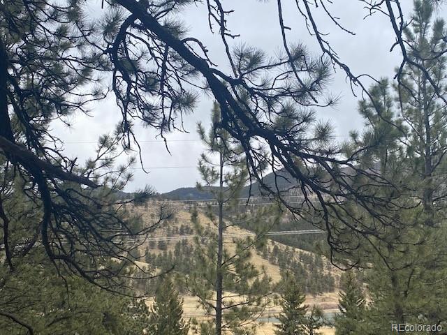 364 County Road 64 Shawnee, CO 80475 - Photo 8 of 16