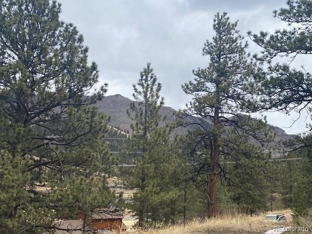 364 County Road 64 Shawnee, CO 80475 - Photo 10 of 16 a view of a forest with a tree