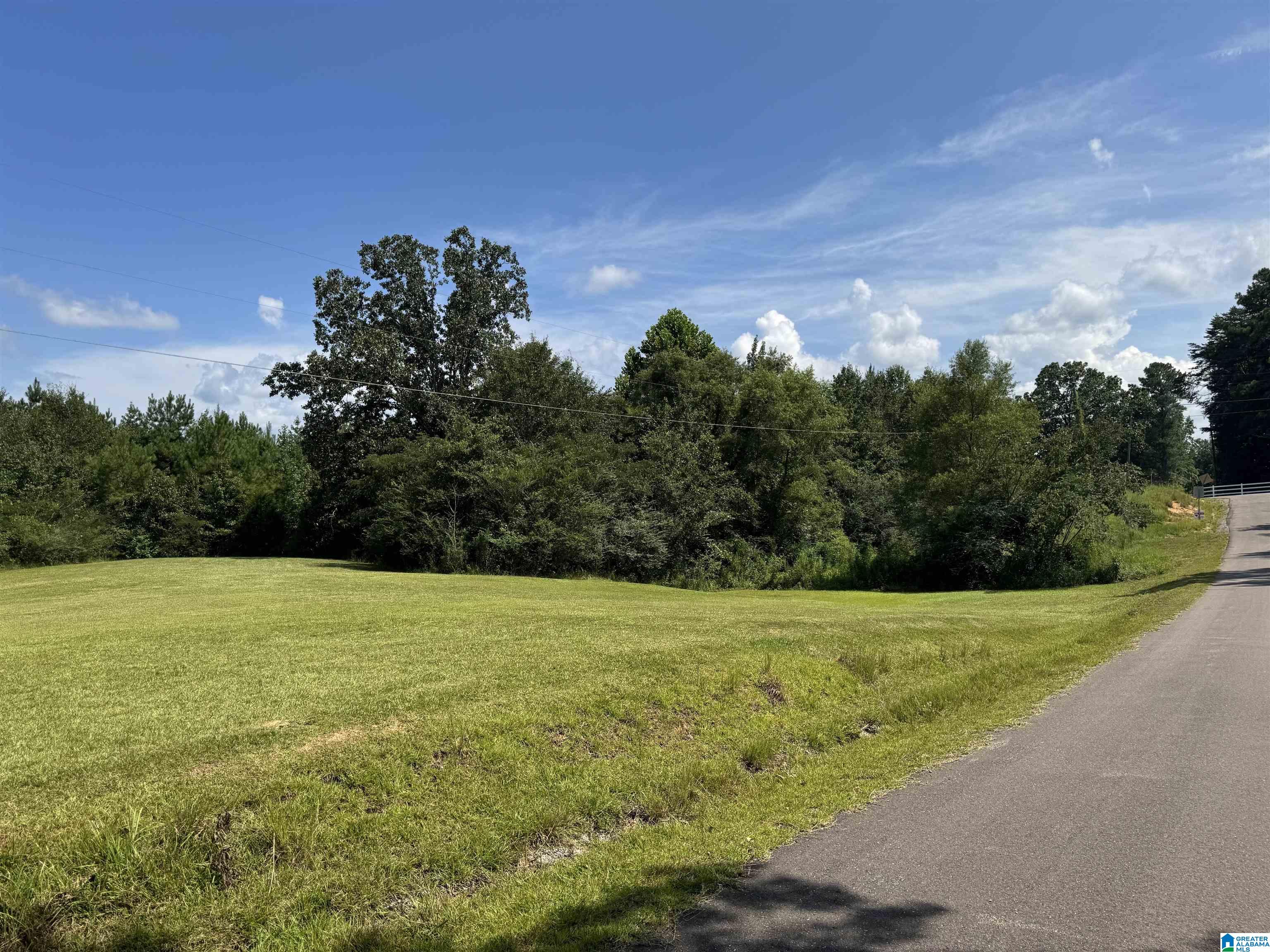 Short Town Road, Unit 123 West Blocton, AL 35184 - Photo 1 of 5