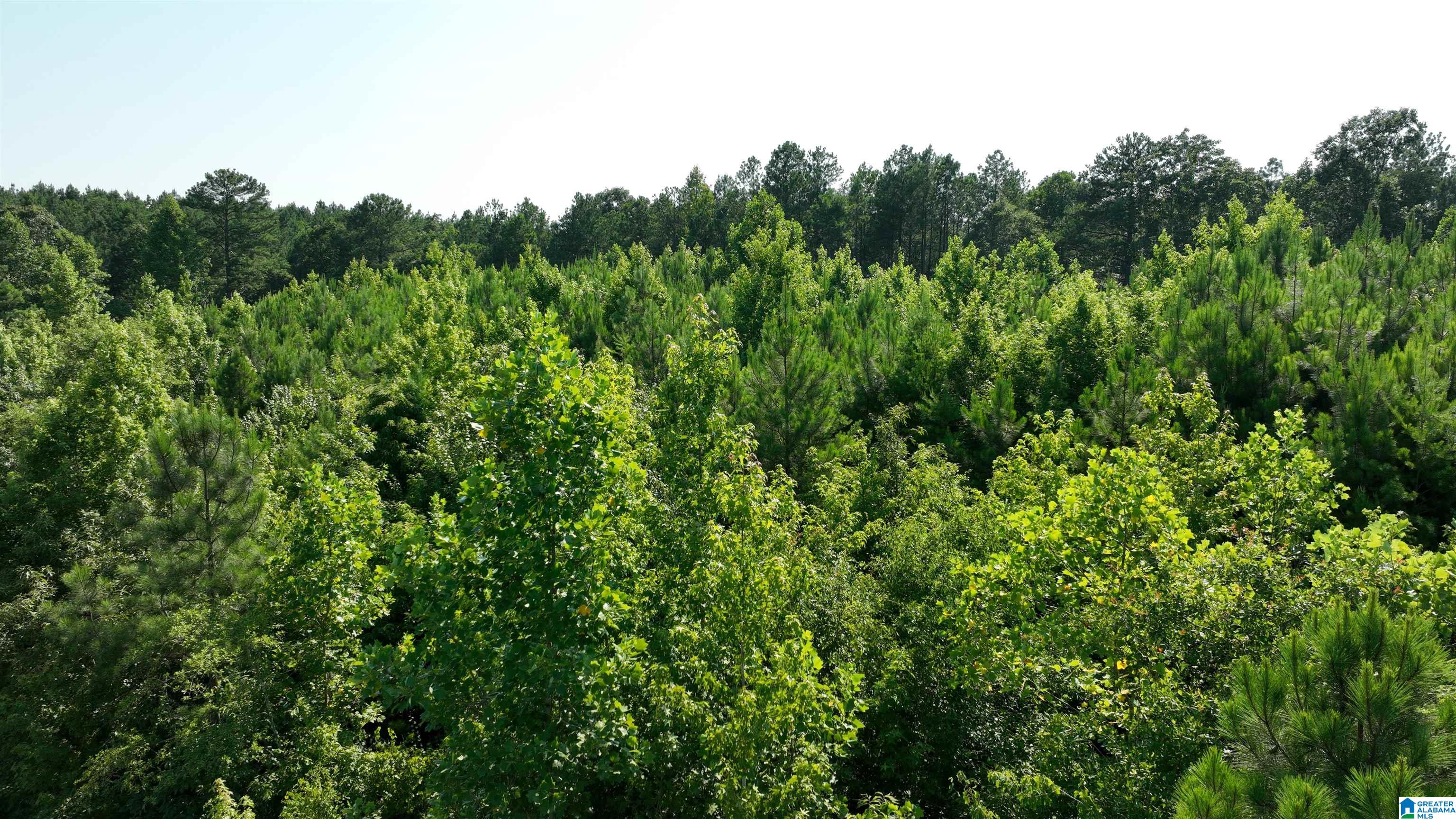2 County Road 253, Unit 2 Clanton, AL 35046 - Photo 36 of 40