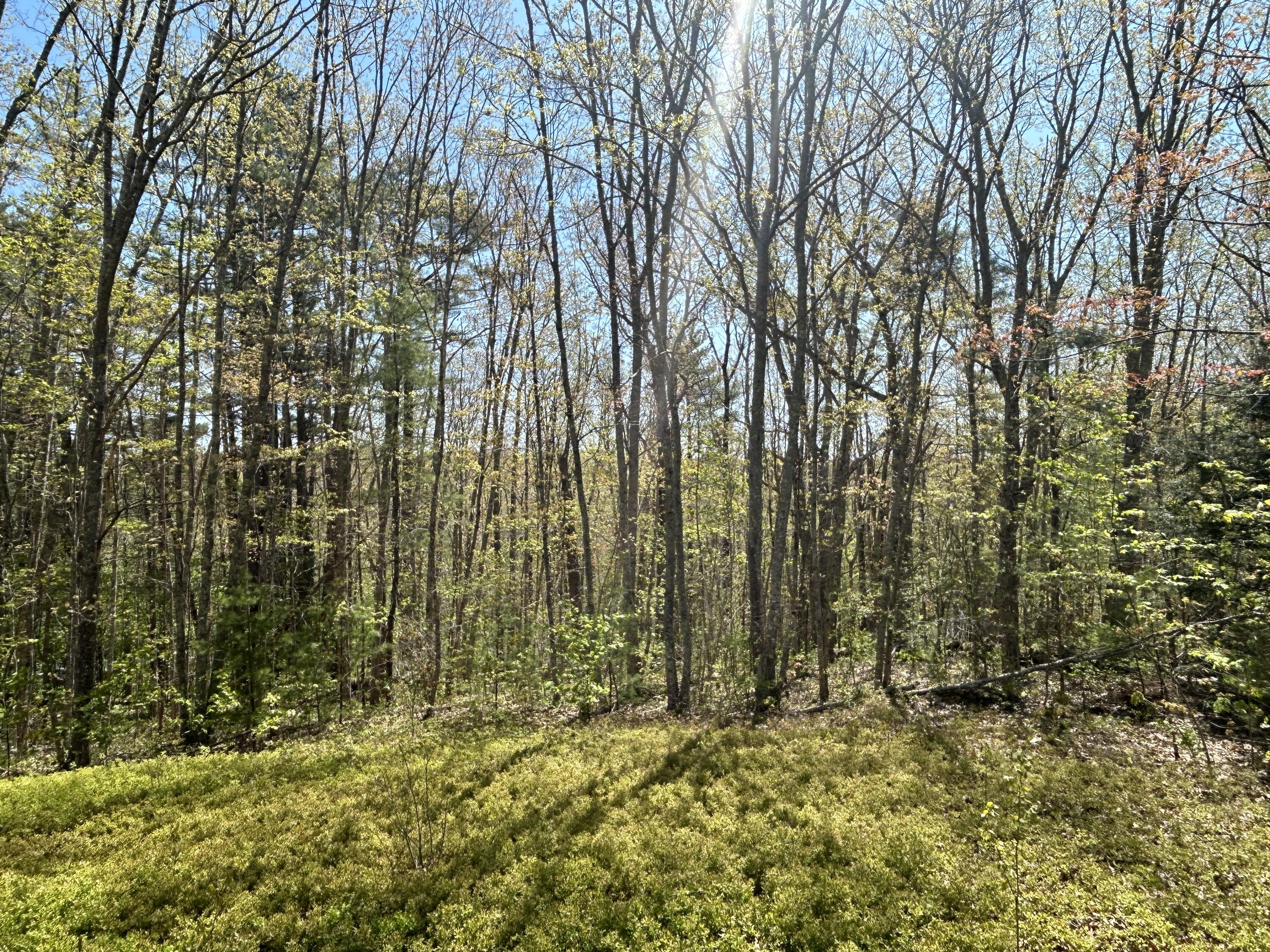 B1 Western Road Warren, ME 04864 - Photo 13 of 15 5FB19192-6C5E-47DE-A4AC-4EB056E7014A