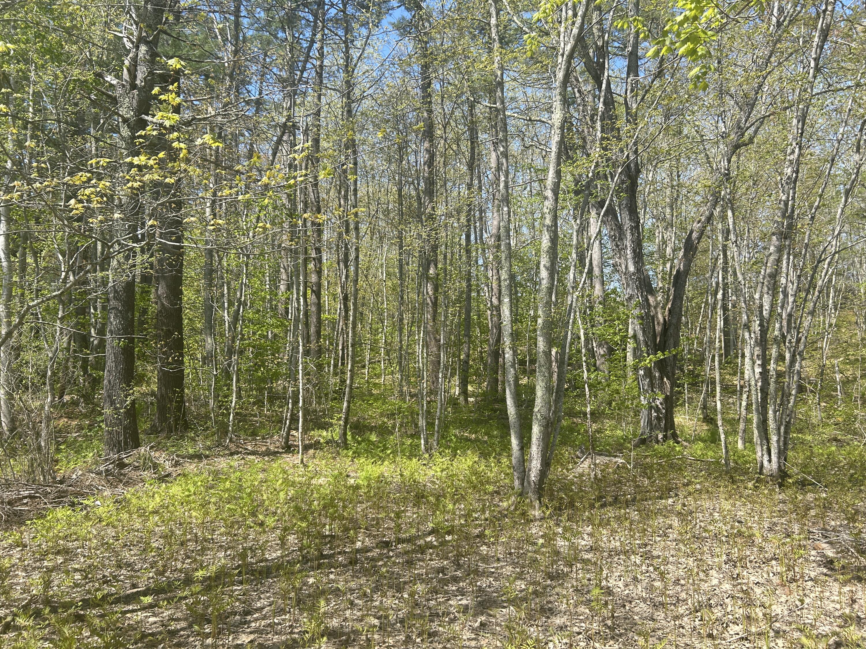 B1 Western Road Warren, ME 04864 - Photo 14 of 15 36BAD48E-A667-47D5-B0B2-6D0D623EB73D