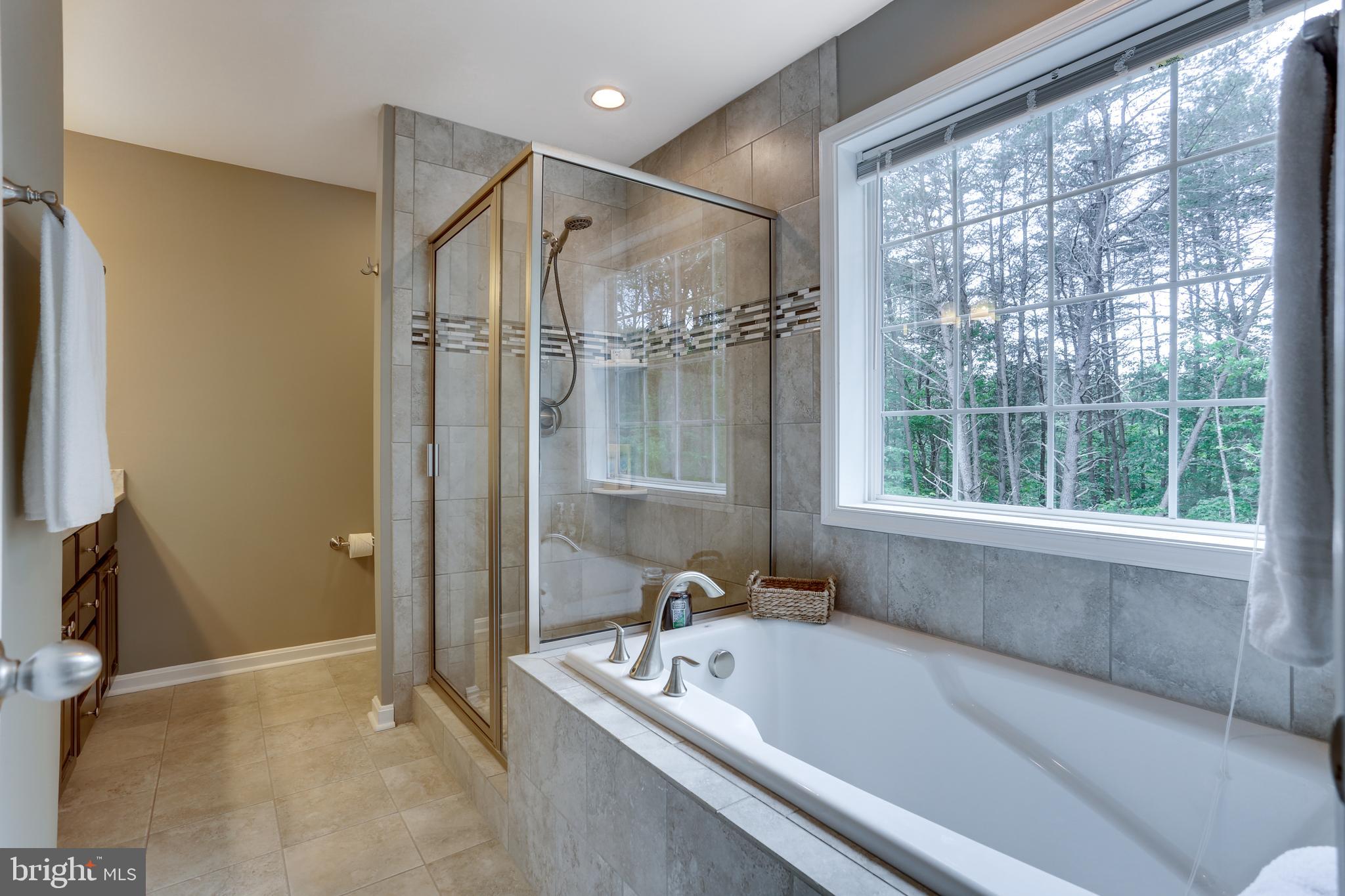 10355 Faulkner Road Faulkner, MD 20632 - Photo 51 of 58 Master Bath