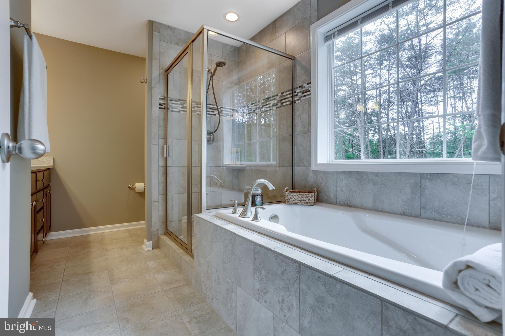 10355 Faulkner Road Faulkner, MD 20632 - Photo 52 of 58 Master Bath