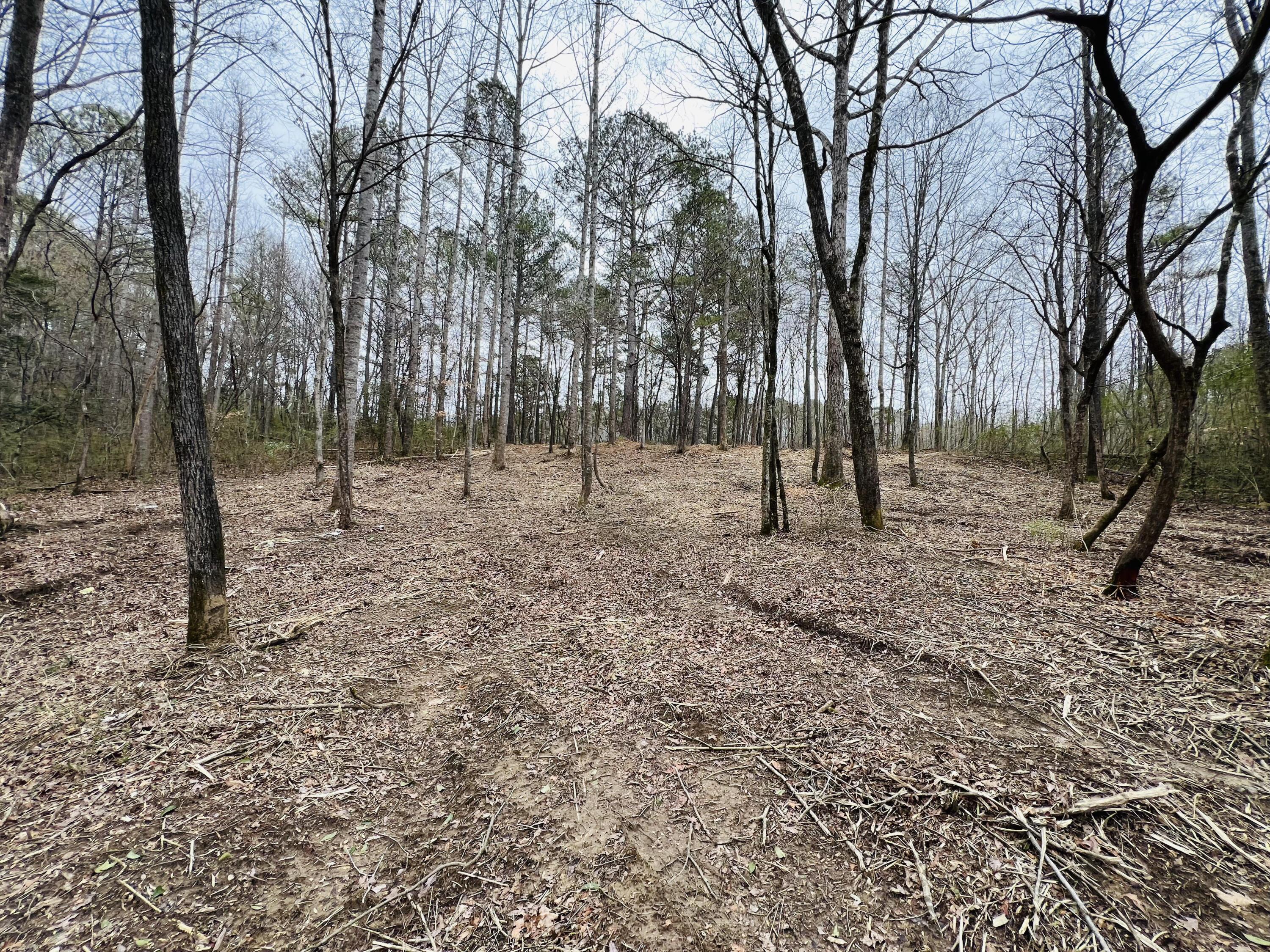 39 Co Road Addison, AL 35540 - Photo 15 of 32 Gallery Image 15