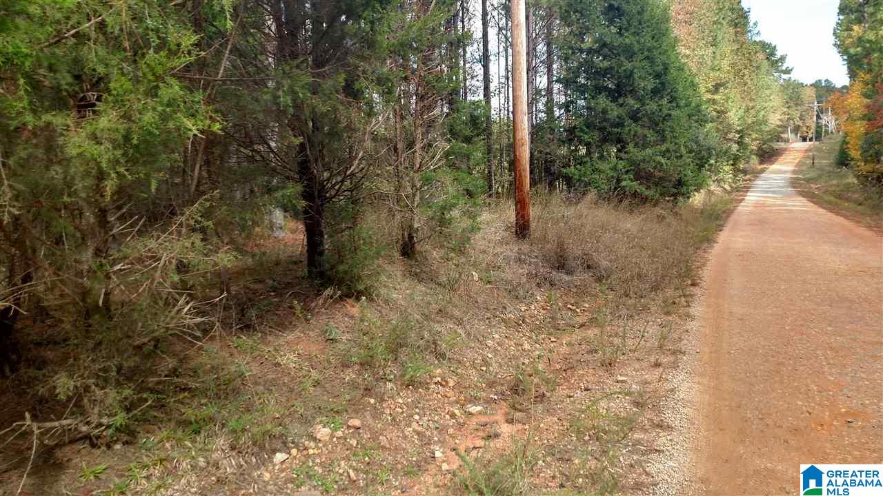 0 Cook Road, Unit 2 Equality, AL 36026 - Photo 2 of 5