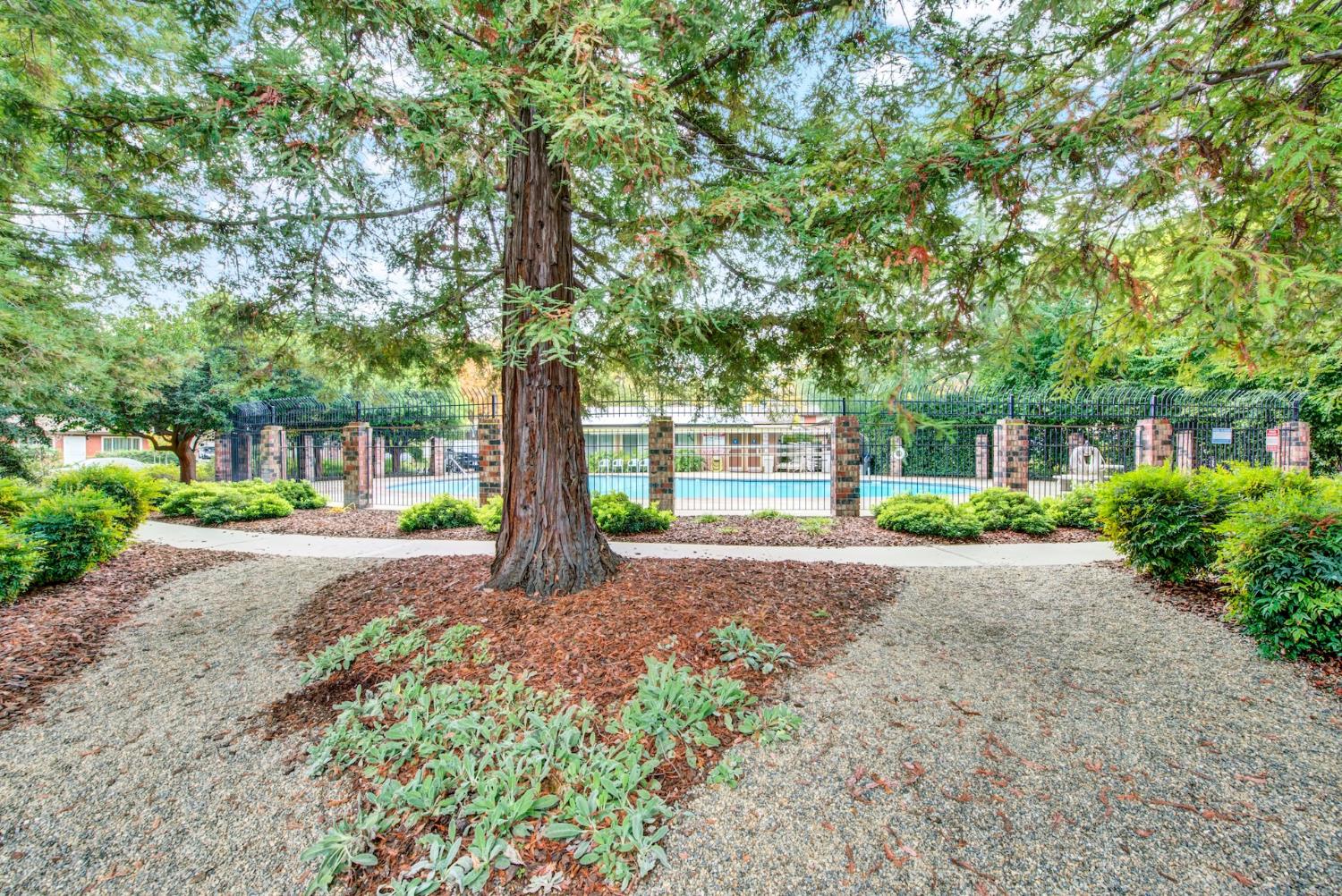 2803 Bidwell Street, Unit 2 Davis, CA 95618 - Photo 37 of 40