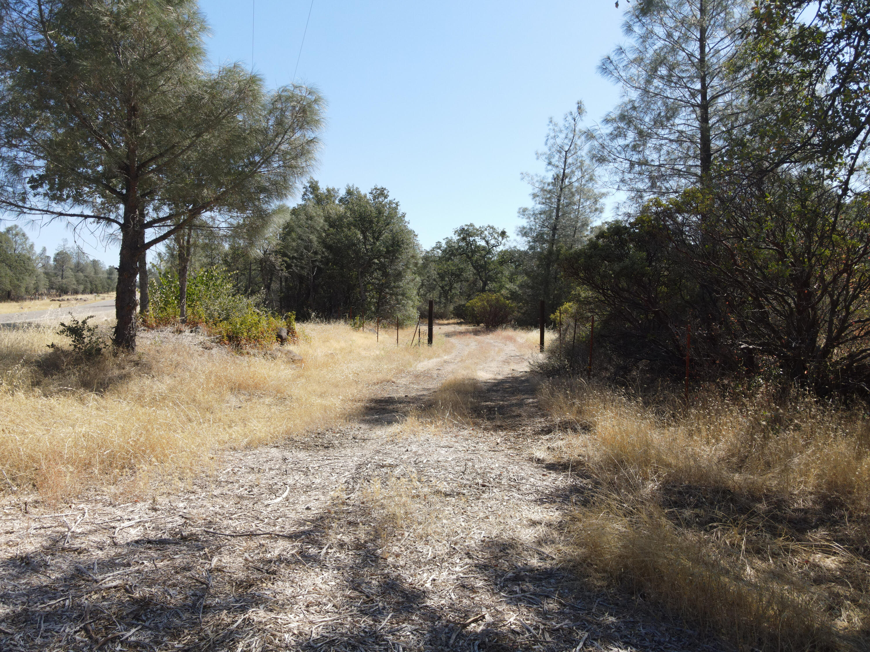 Nsa Dersch Road Shingletown, CA 96088 - Photo 5 of 56 DJI_0558_result