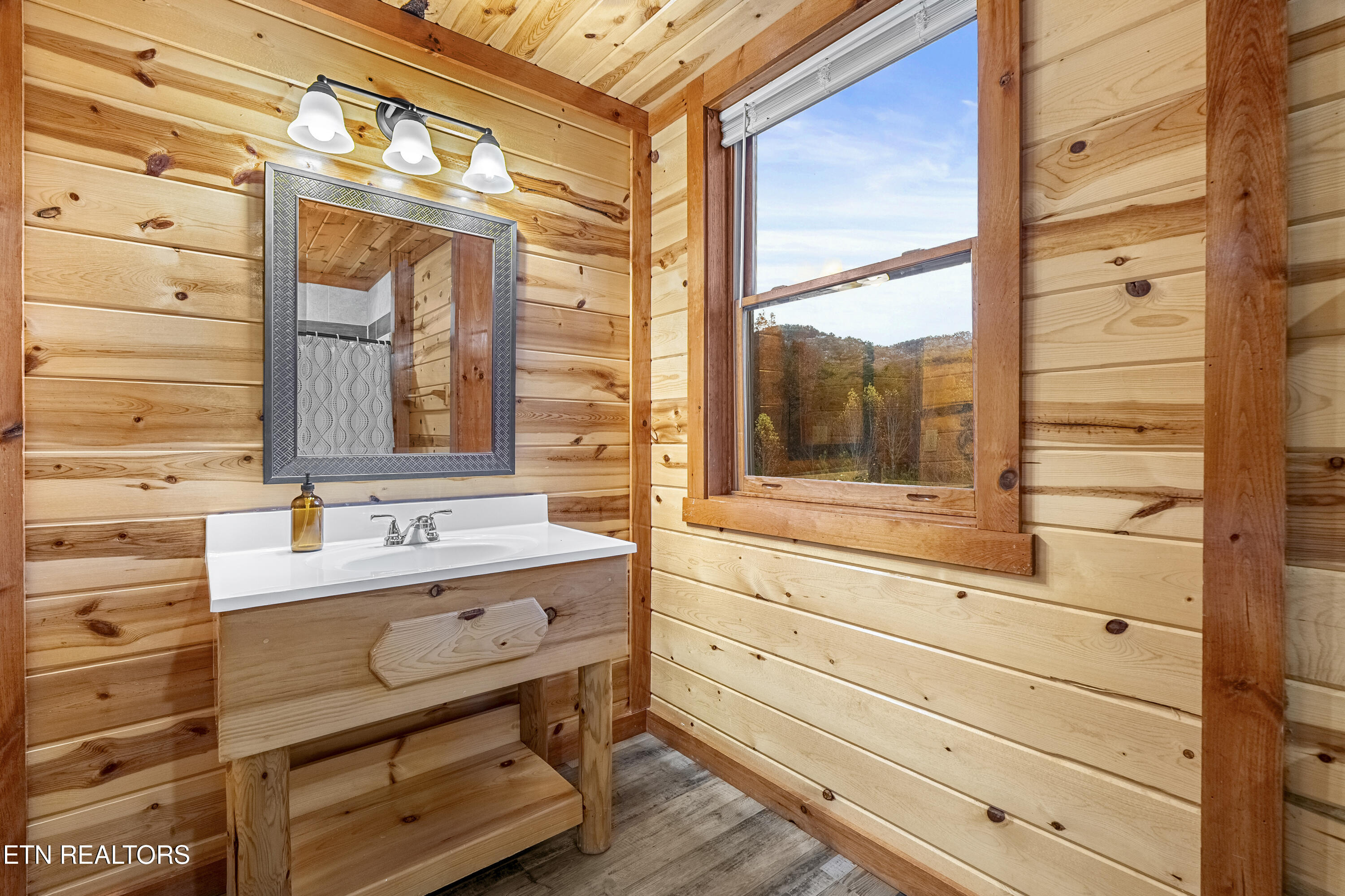 1628 Barn Door Lane Sevierville, TN 37862 - Photo 35 of 47 DSC05123-HDR