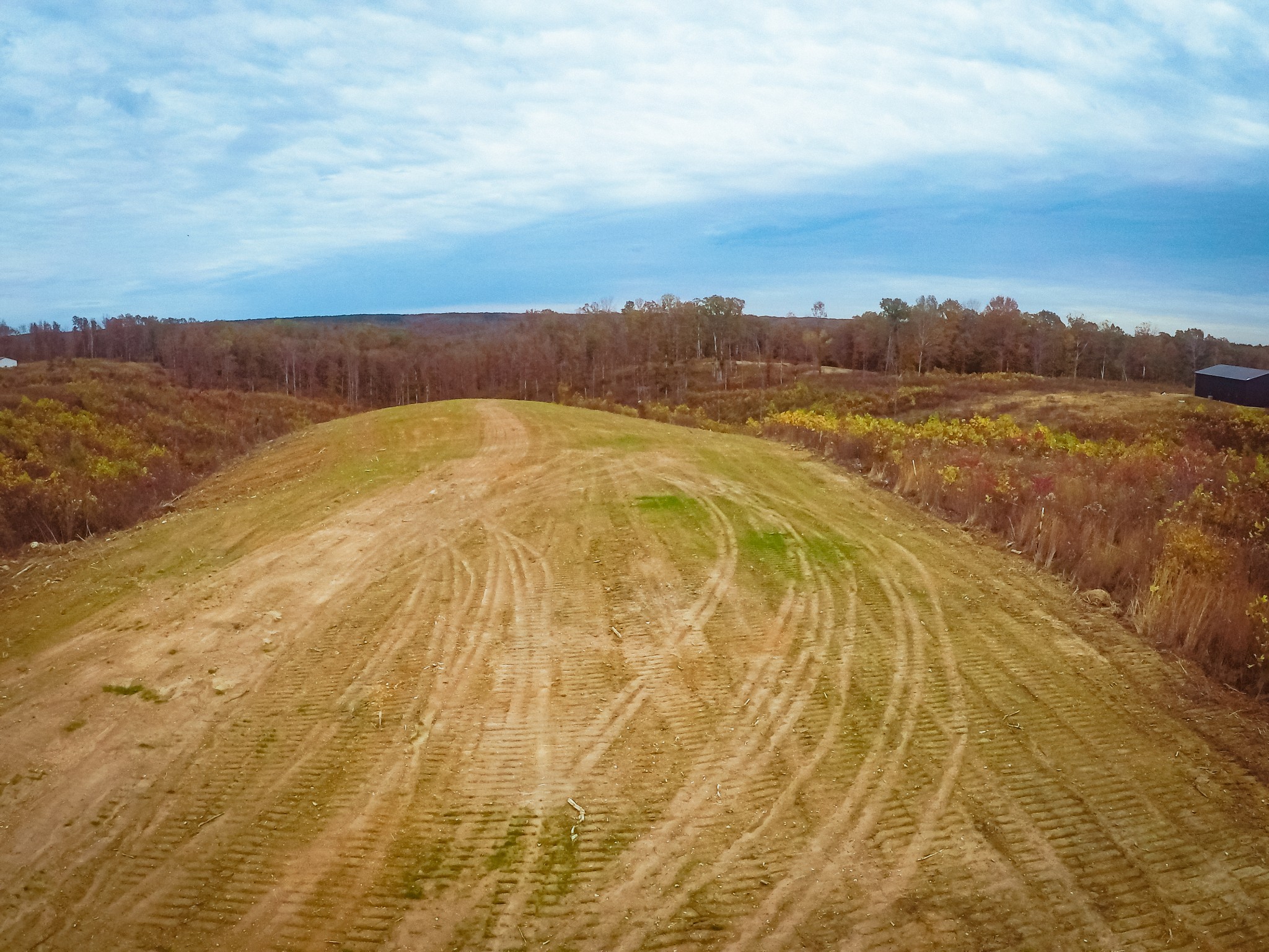 0 Springer Road Hohenwald, TN 38462 - Photo 13 of 15