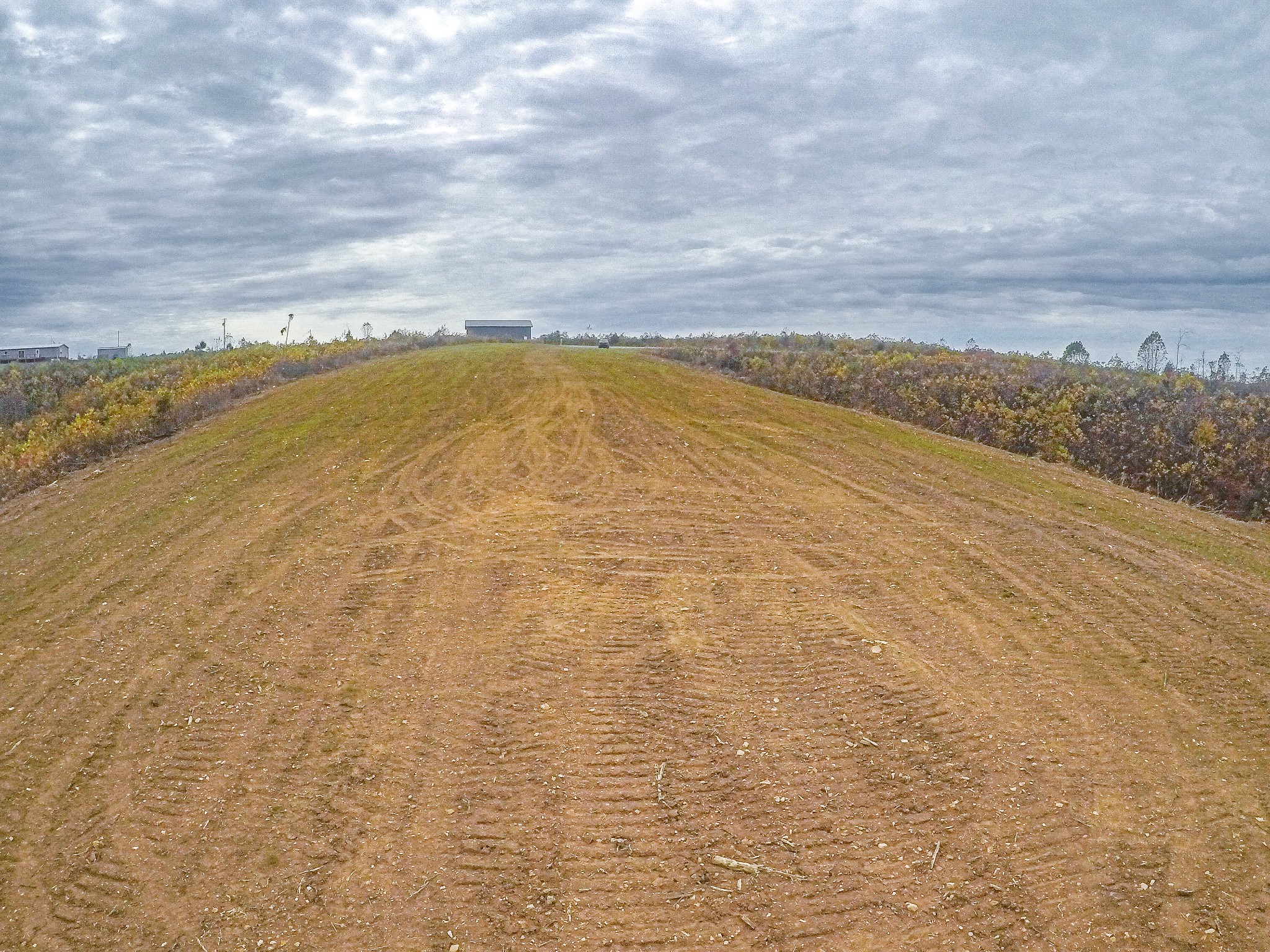 0 Springer Road Hohenwald, TN 38462 - Photo 9 of 15 a view of an ocean