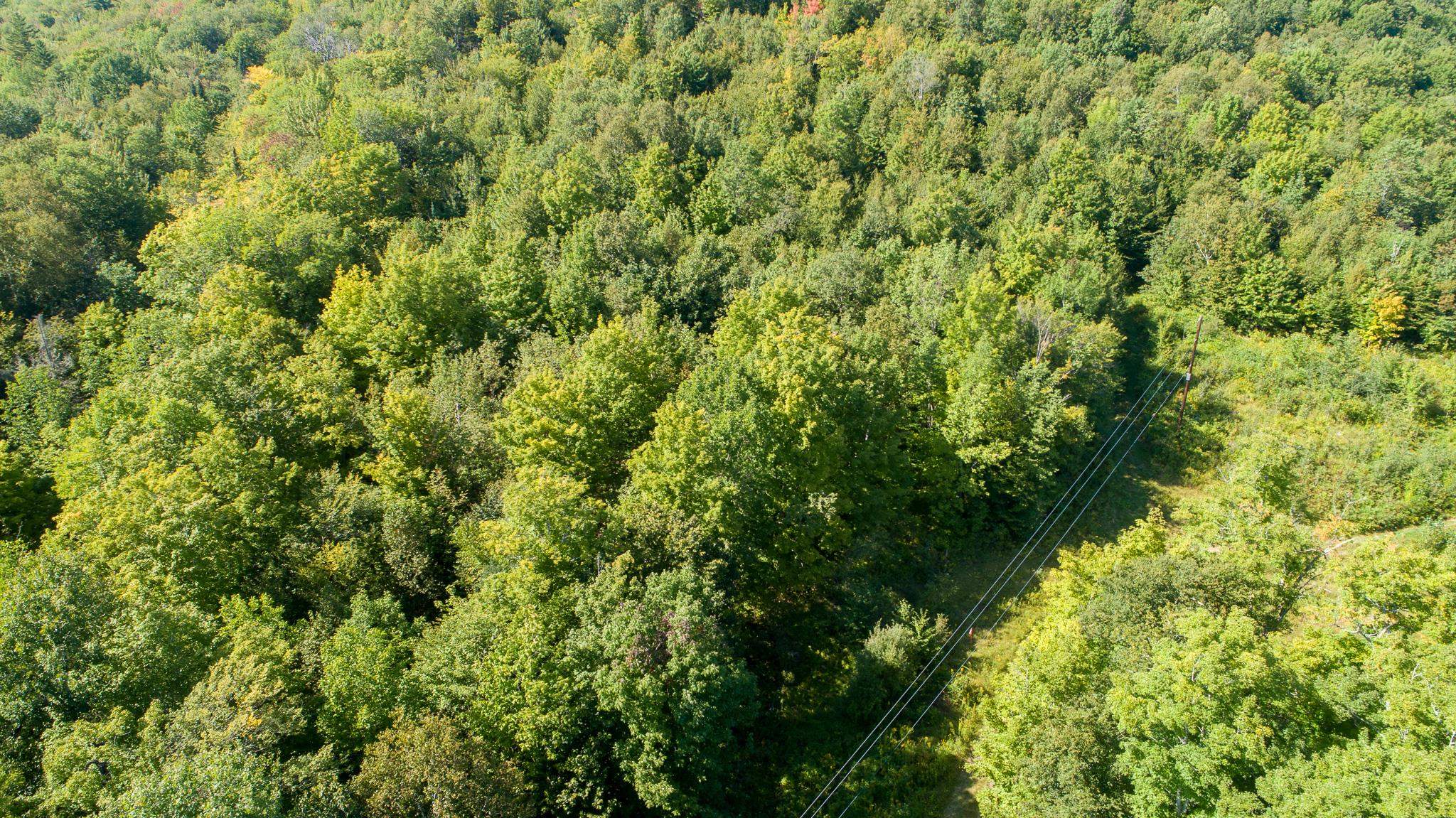 Lot 92.3 Kimball Road Lunenburg, VT 05906 - Photo 11 of 11