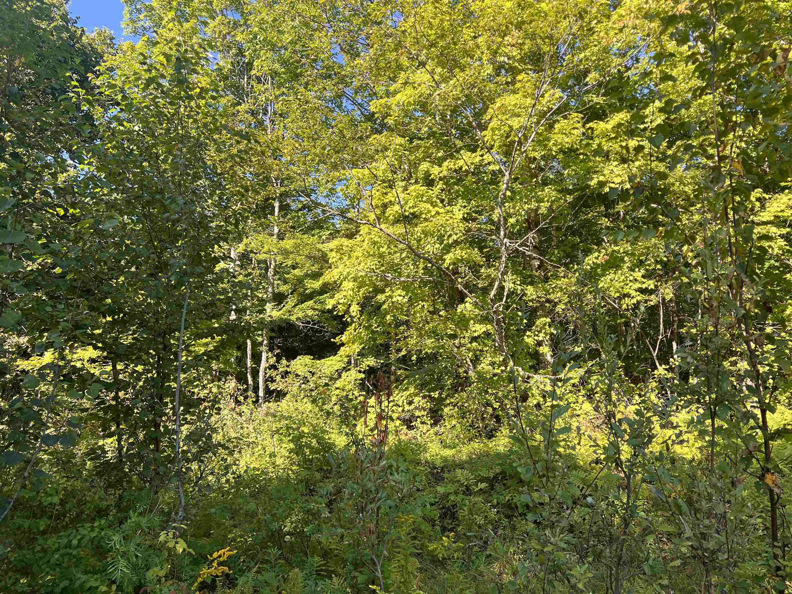 Lot 92.3 Kimball Road Lunenburg, VT 05906 - Photo 2 of 11
