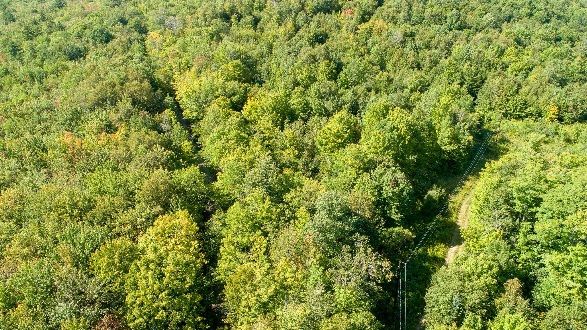 Lot 92.3 Kimball Road Lunenburg, VT 05906 - Photo 3 of 11