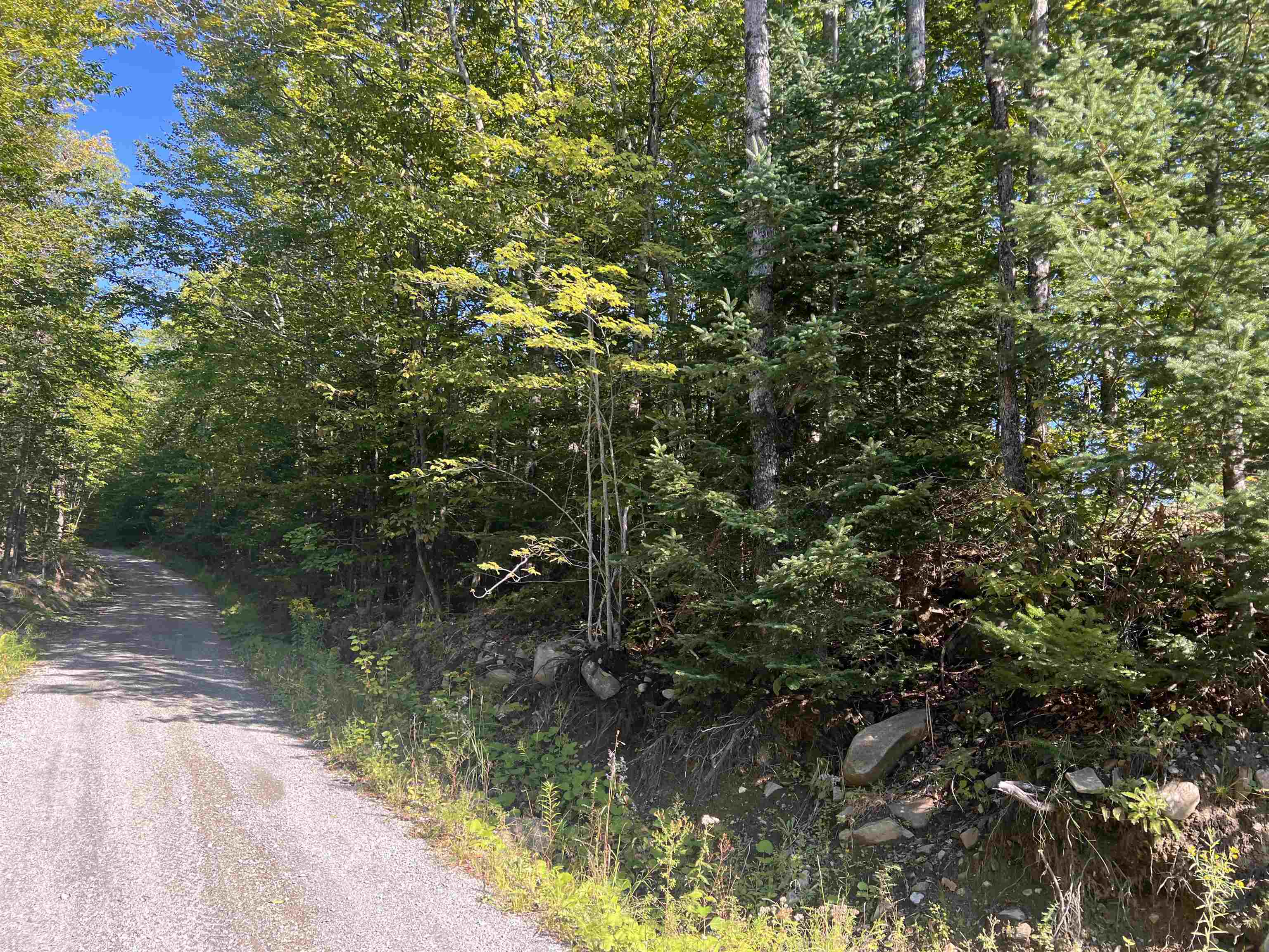 Lot 92.3 Kimball Road Lunenburg, VT 05906 - Photo 4 of 11