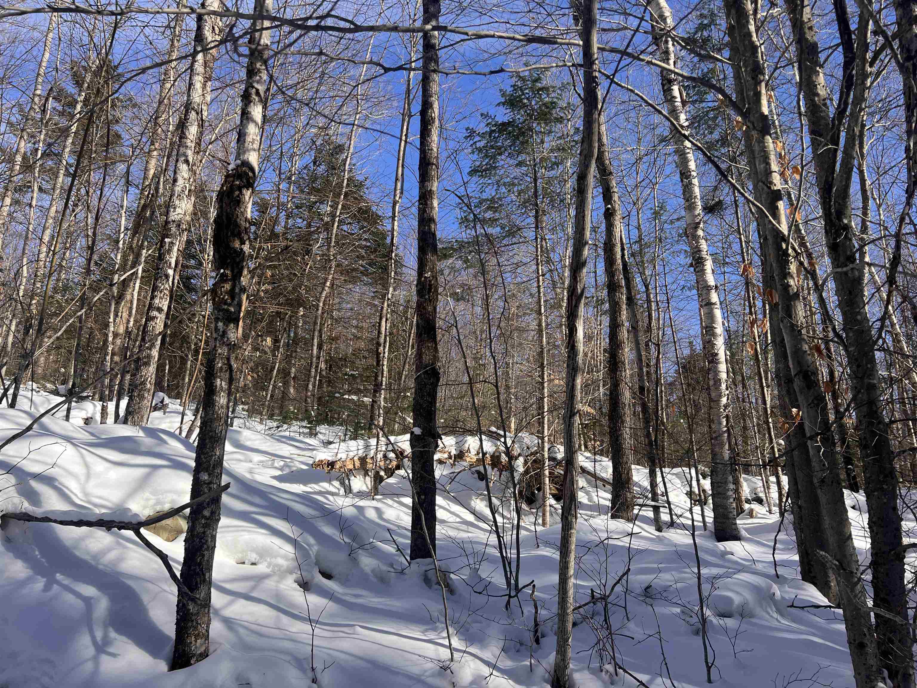 Lot 92.3 Kimball Road Lunenburg, VT 05906 - Photo 6 of 11