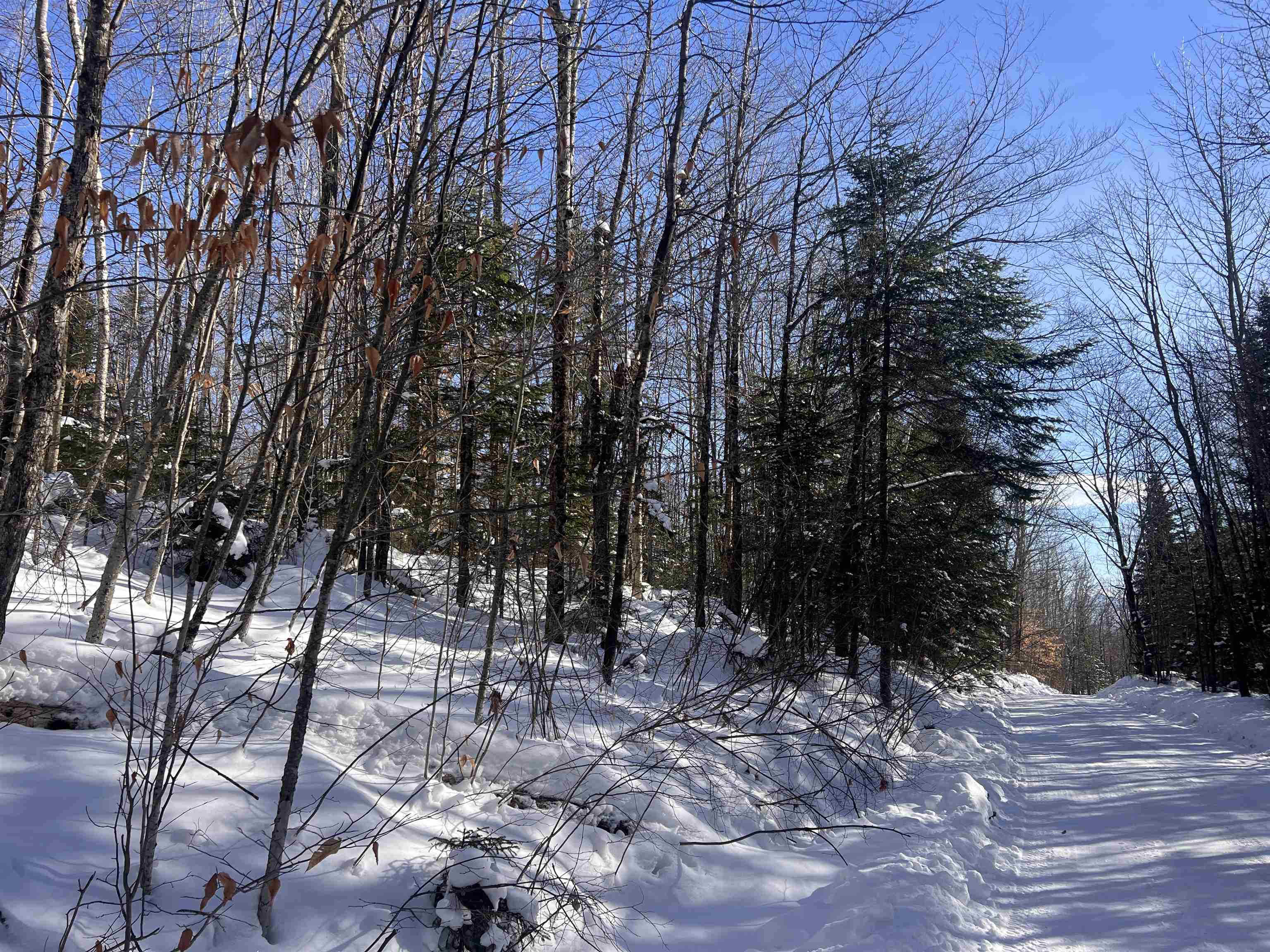 Lot 92.3 Kimball Road Lunenburg, VT 05906 - Photo 7 of 11
