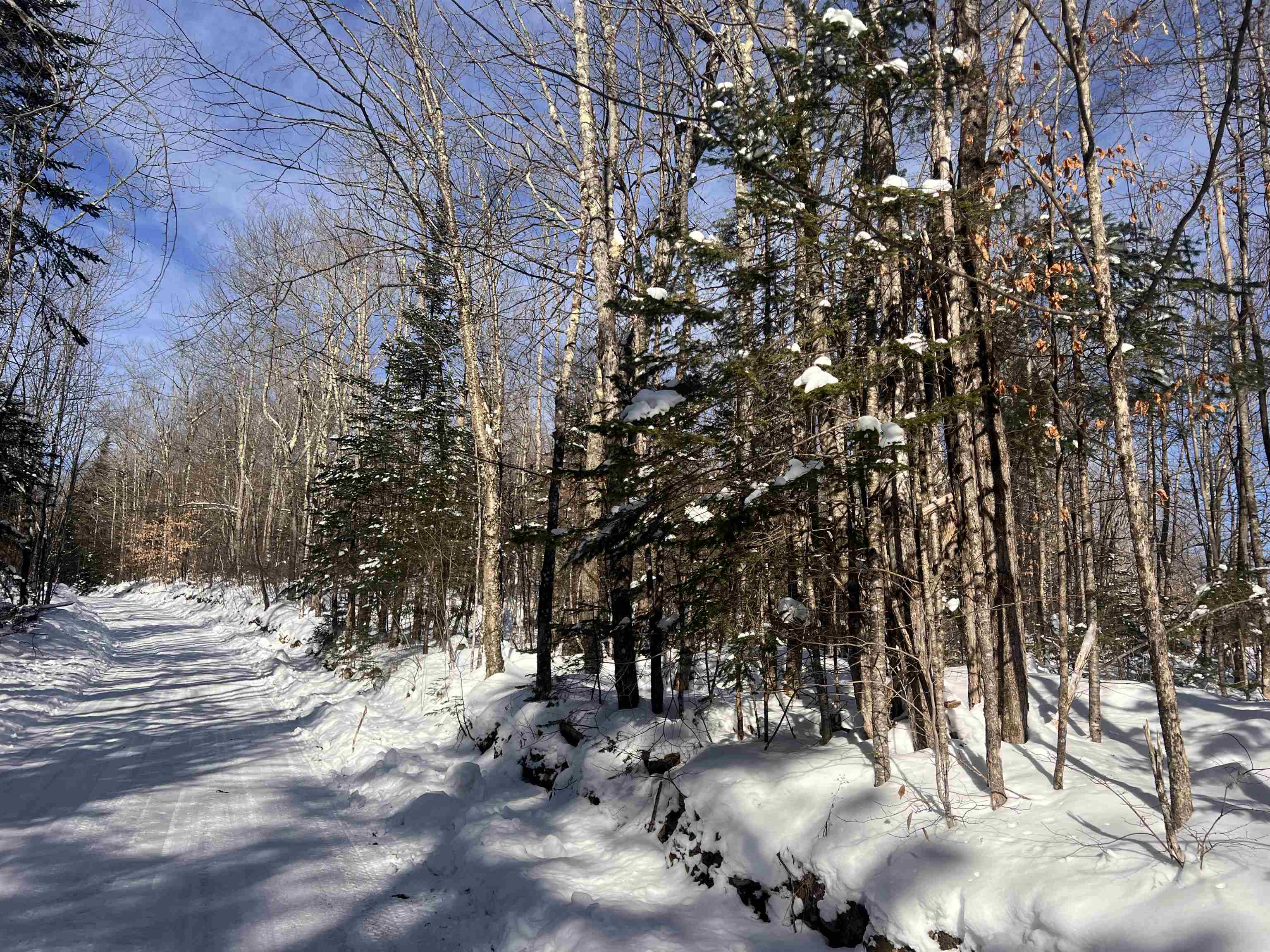 Lot 92.3 Kimball Road Lunenburg, VT 05906 - Photo 8 of 11