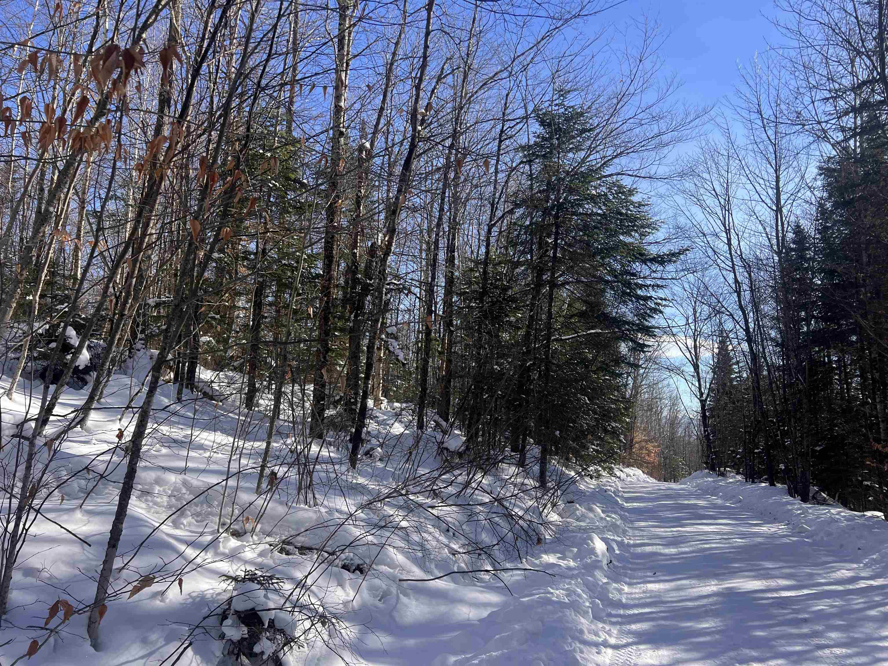 Lot 92.3 Kimball Road Lunenburg, VT 05906 - Photo 9 of 11