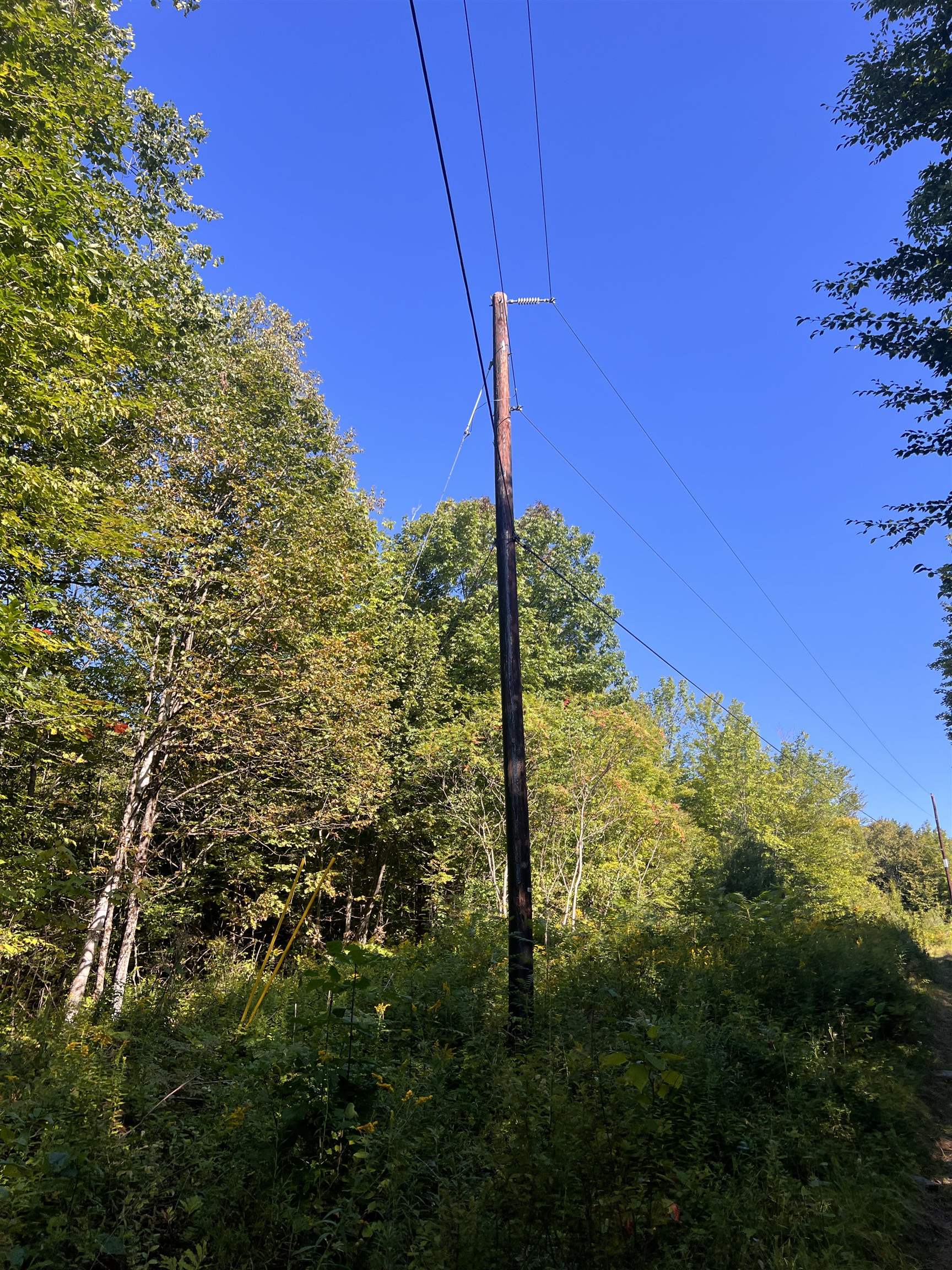 Lot 92.3 Kimball Road Lunenburg, VT 05906 - Photo 10 of 11