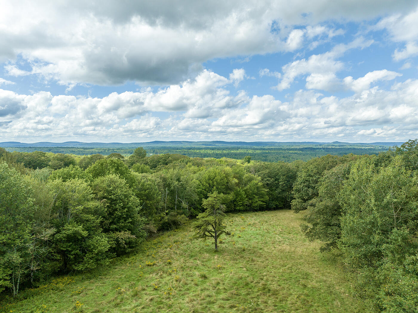 Lot #20 Whitney Road Appleton, ME 04862 - Photo 10 of 14 DJI_0614