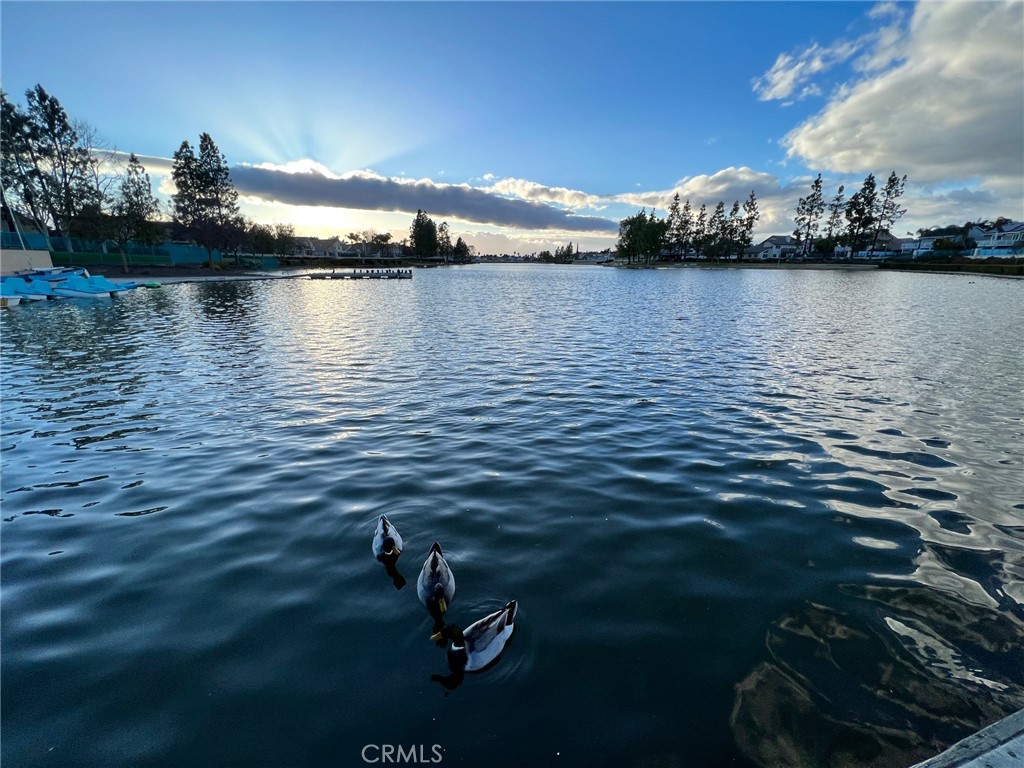 30665 Spring Deep Terrace Menifee, CA 92584 - Photo 42 of 71